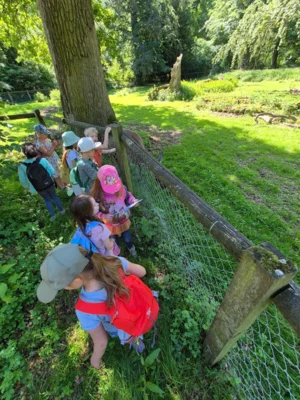 Foto des Albums: Wisentgehege Springe 2b