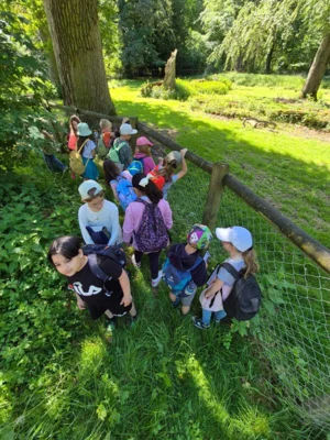 Foto des Albums: Wisentgehege Springe 2b