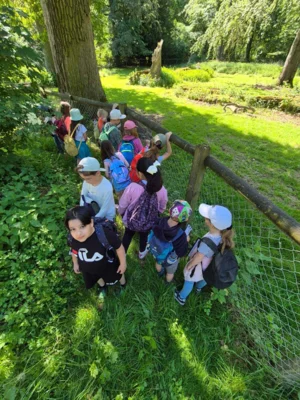 Foto des Albums: Wisentgehege Springe 2b