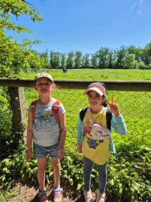 Foto des Albums: Wisentgehege Springe 2b