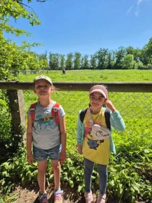 Foto des Albums: Wisentgehege Springe 2b