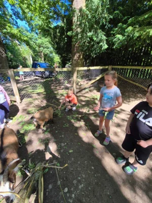 Foto des Albums: Wisentgehege Springe 2b