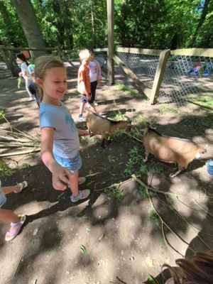 Foto des Albums: Wisentgehege Springe 2b