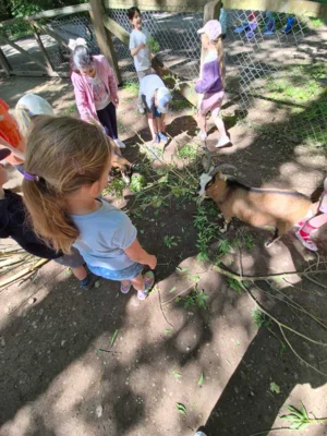 Foto des Albums: Wisentgehege Springe 2b