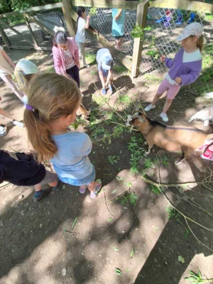 Foto des Albums: Wisentgehege Springe 2b