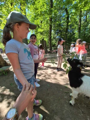 Foto des Albums: Wisentgehege Springe 2b