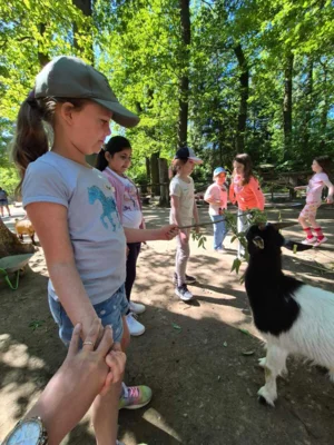 Foto des Albums: Wisentgehege Springe 2b