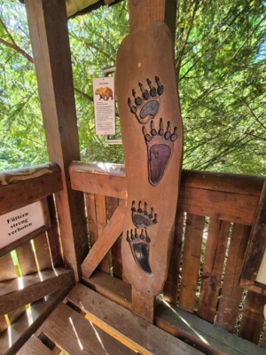 Foto des Albums: Wisentgehege Springe 2b