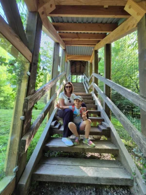 Foto des Albums: Wisentgehege Springe 2b
