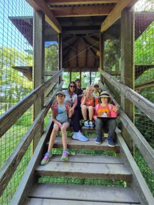 Foto des Albums: Wisentgehege Springe 2b