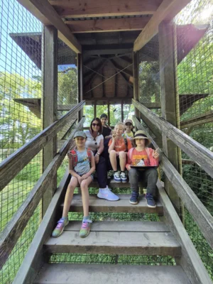 Foto des Albums: Wisentgehege Springe 2b