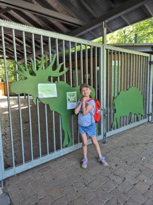 Foto des Albums: Wisentgehege Springe 2b