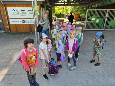 Foto des Albums: Wisentgehege Springe 2b