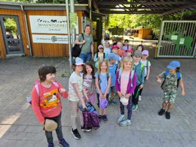 Foto des Albums: Wisentgehege Springe 2b