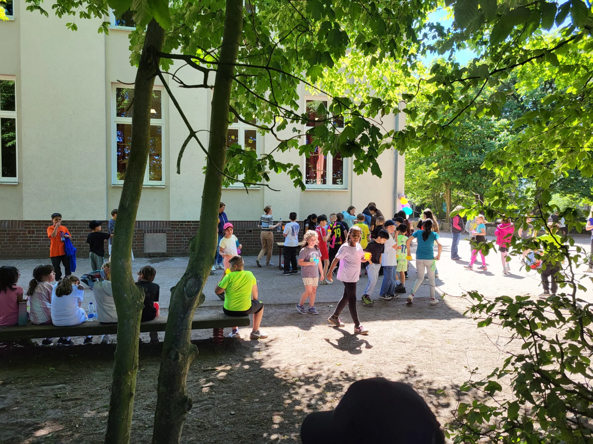 Bild der Galerie