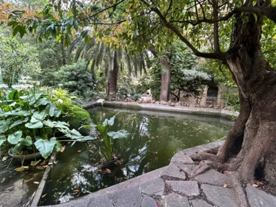 Foto des Albums: Erasmus+ Barcelona 05.26 Schüler