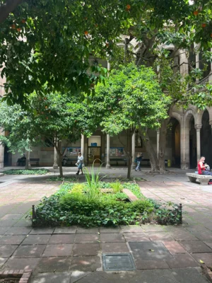 Foto des Albums: Erasmus+ Barcelona 05.26 Schüler