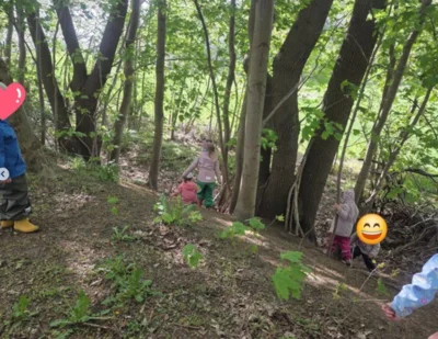 Foto des Albums: 🌿 Rundgang über Stock und Stein 🐭🦭