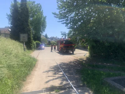 Foto des Albums: Einsatz 29.05.2026 Vegetation