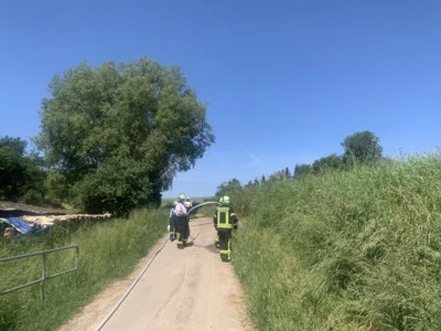 Foto des Albums: Einsatz 29.05.2026 Vegetation