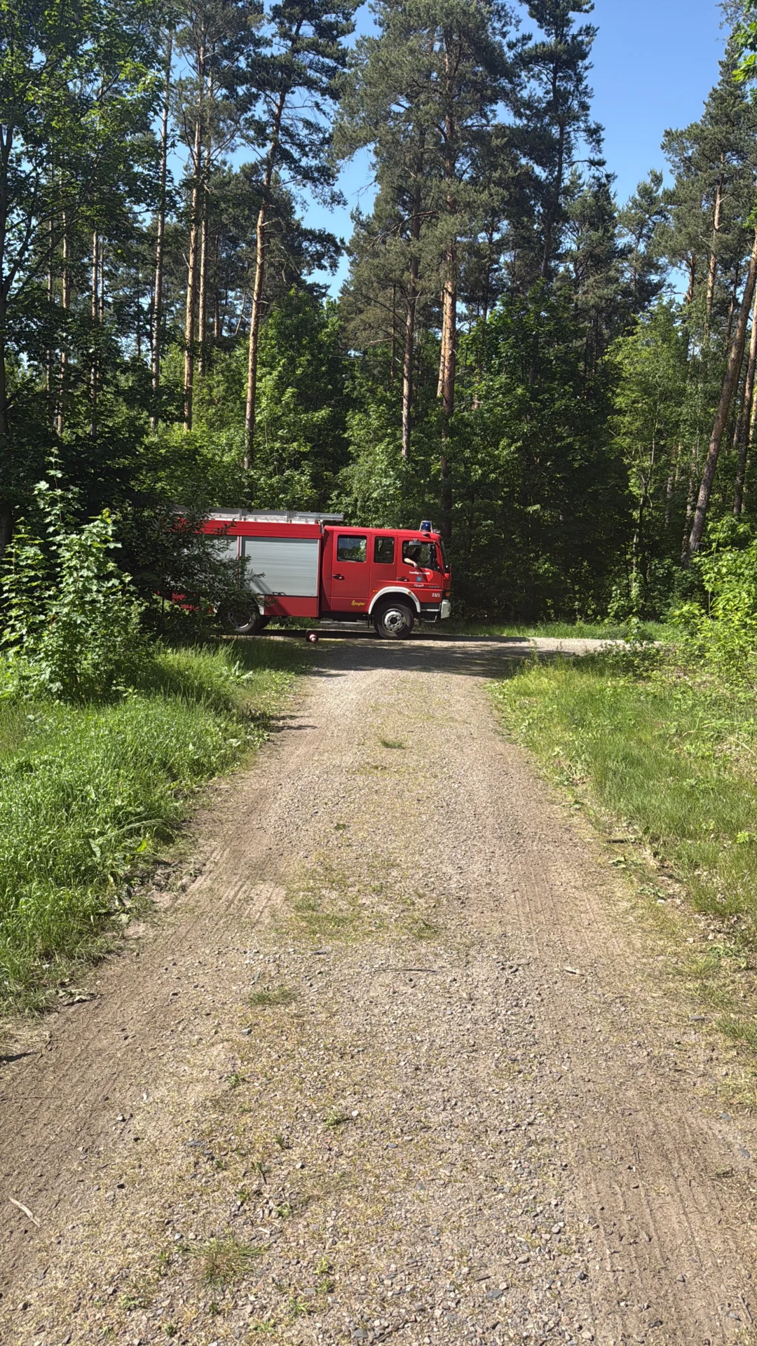 Bild: 260526 Waldbrand Weinböhla 2