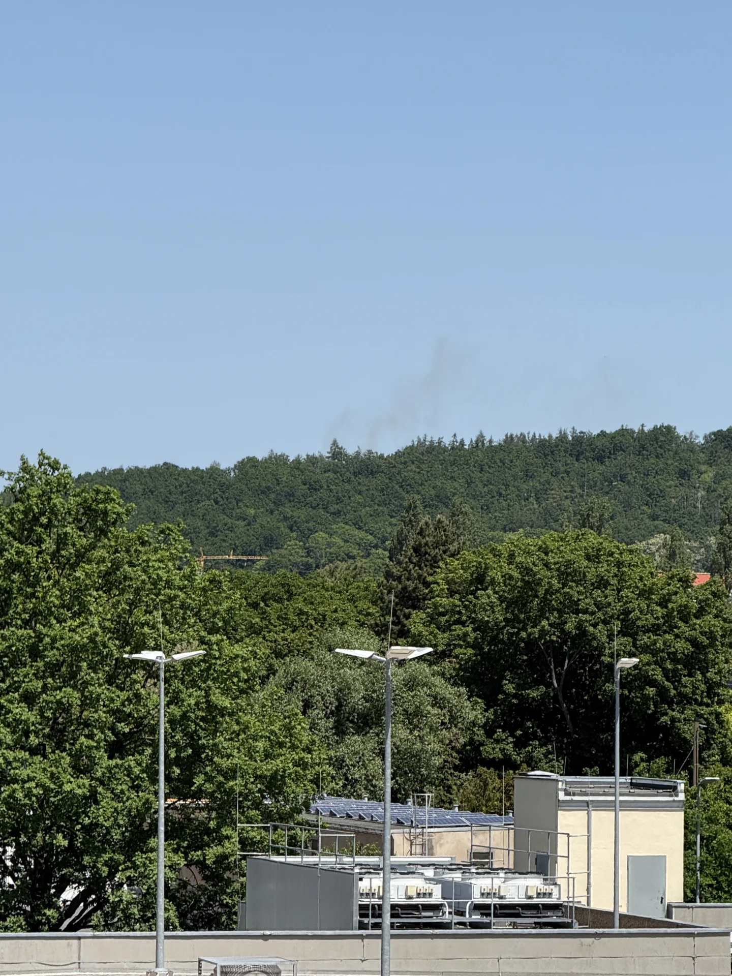 Bild: 260526 Waldbrand Weinböhla 3