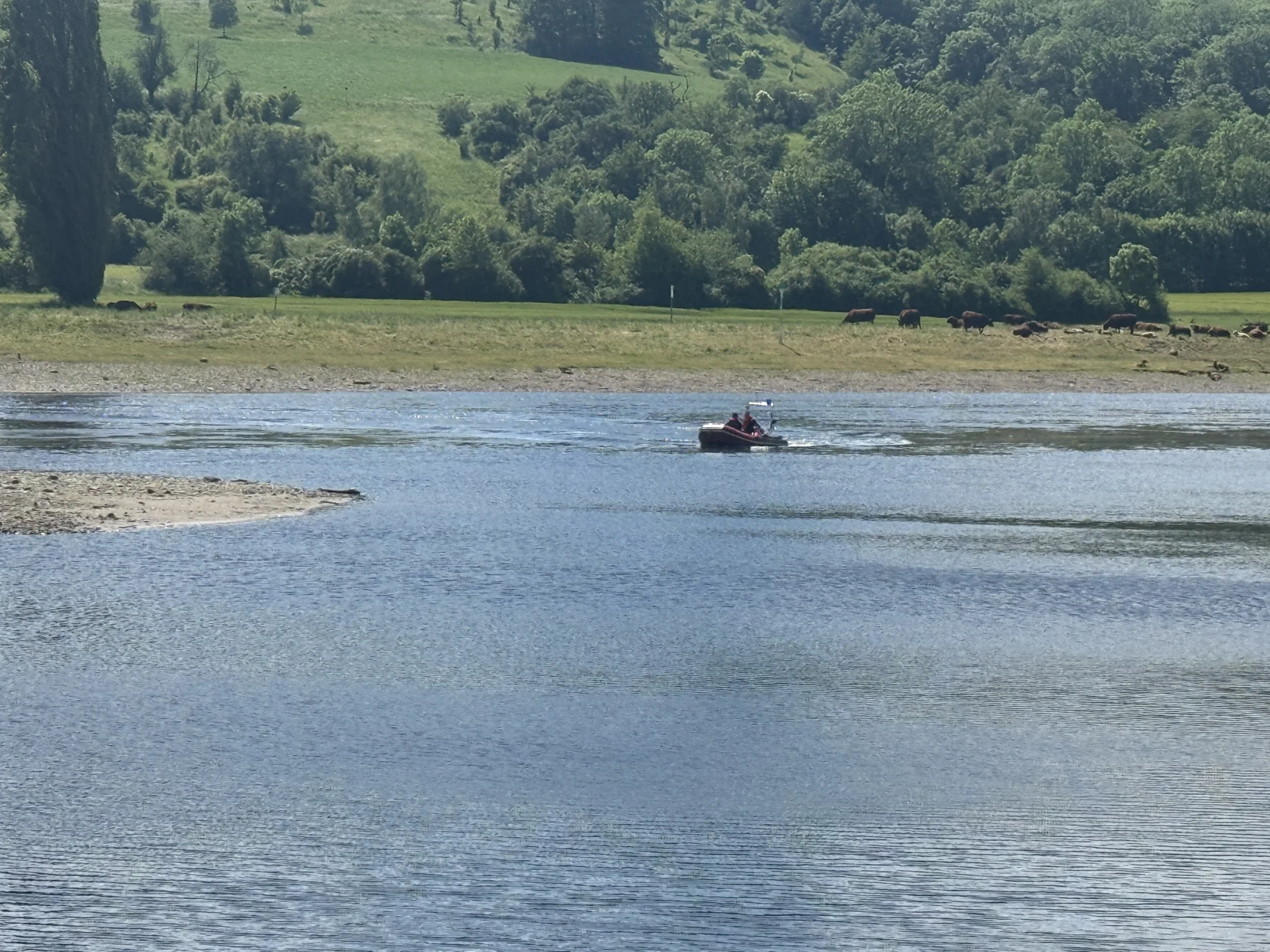 Bild: 270526 Person in Elbe 2