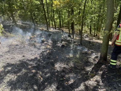 260526 Waldbrand Weinb&ouml;hla 4  (Bild vergr&ouml;&szlig;ern)
