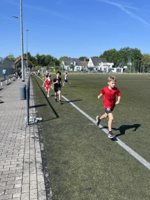 Foto des Albums: Bundesjugendspiele