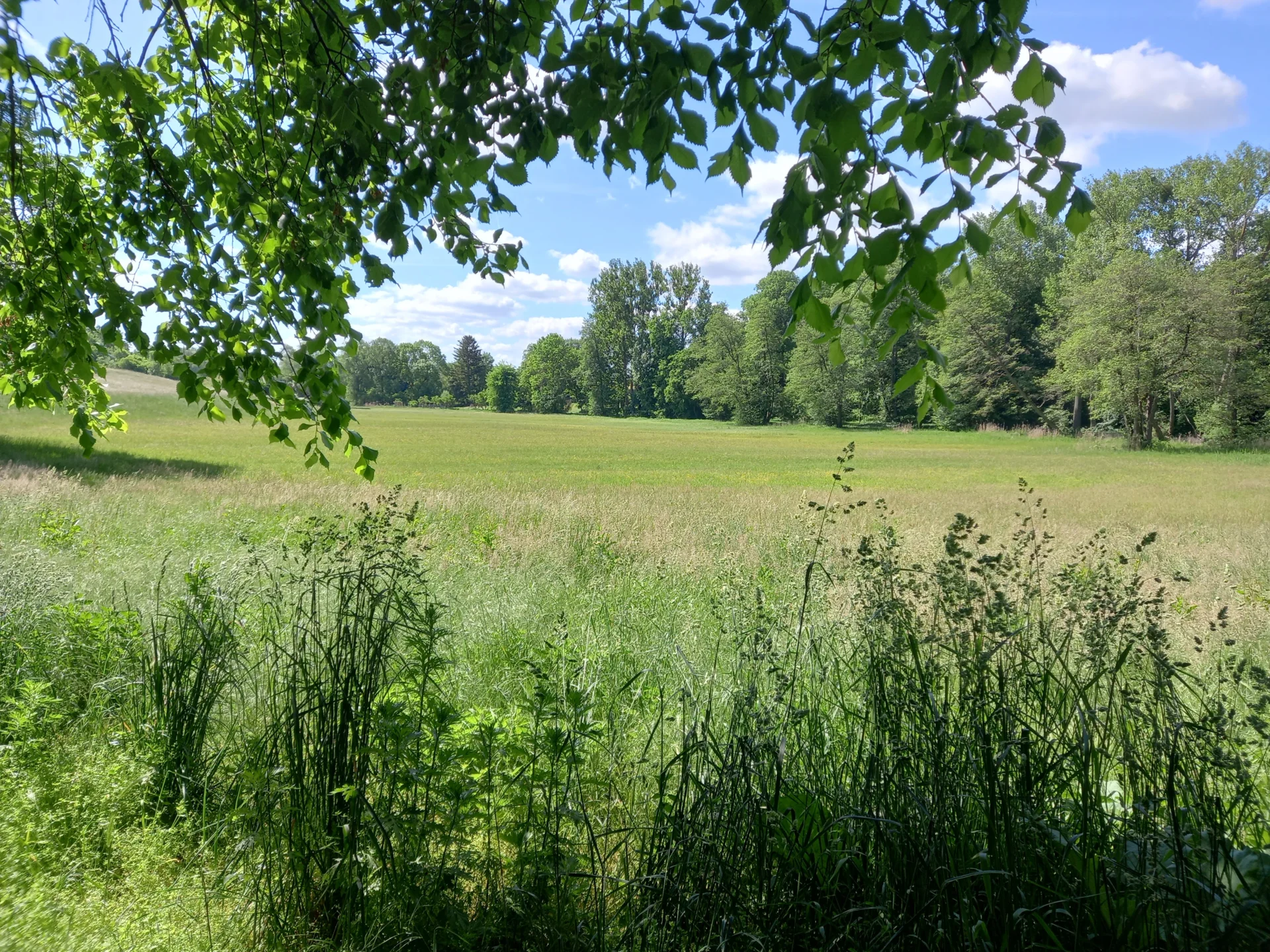 Bild: Blick zum ehem. slawischen Burgwall