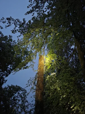Foto des Albums: 20260529_HUNWETTER