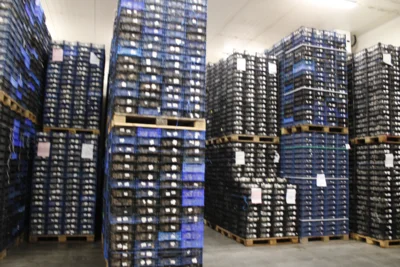 Foto des Albums: Königinnentreffen