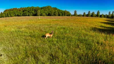 Foto des Albums: Moosterlandschaft