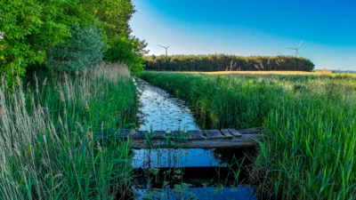 Foto des Albums: Moosterlandschaft