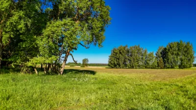 Foto des Albums: Moosterlandschaft