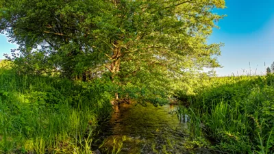 Foto des Albums: Moosterlandschaft