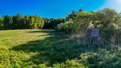 Foto des Albums: Moosterlandschaft