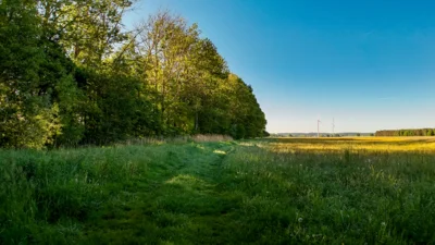 Foto des Albums: Moosterlandschaft