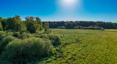 Foto des Albums: Moosterlandschaft