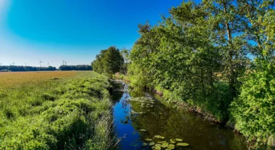 Foto des Albums: Moosterlandschaft