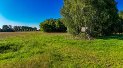 Foto des Albums: Moosterlandschaft