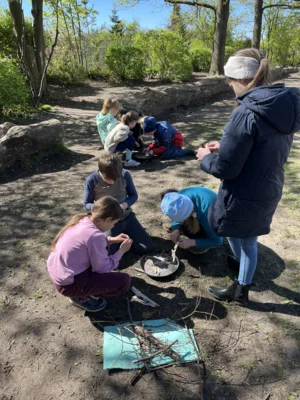 Foto des Albums: Klassenzimmer NATUR Jg.3