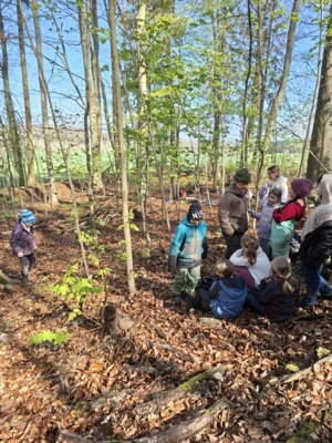 Foto des Albums: Klassenzimmer NATUR Jg.3