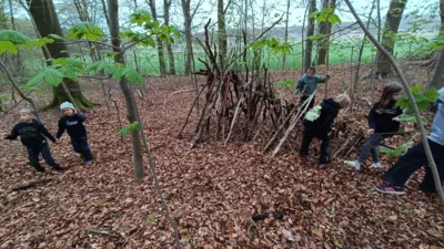 Foto des Albums: Klassenzimmer NATUR Jg.3