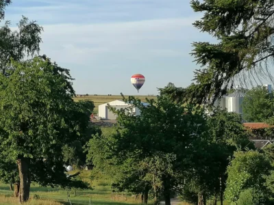 IMG 20230708 063129  (Bild vergr&ouml;&szlig;ern)