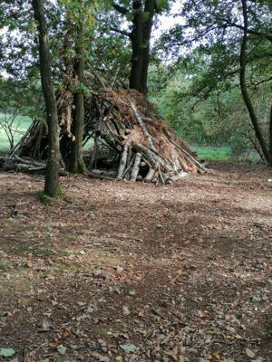 IMG 20231011 151920  (Bild vergr&ouml;&szlig;ern)