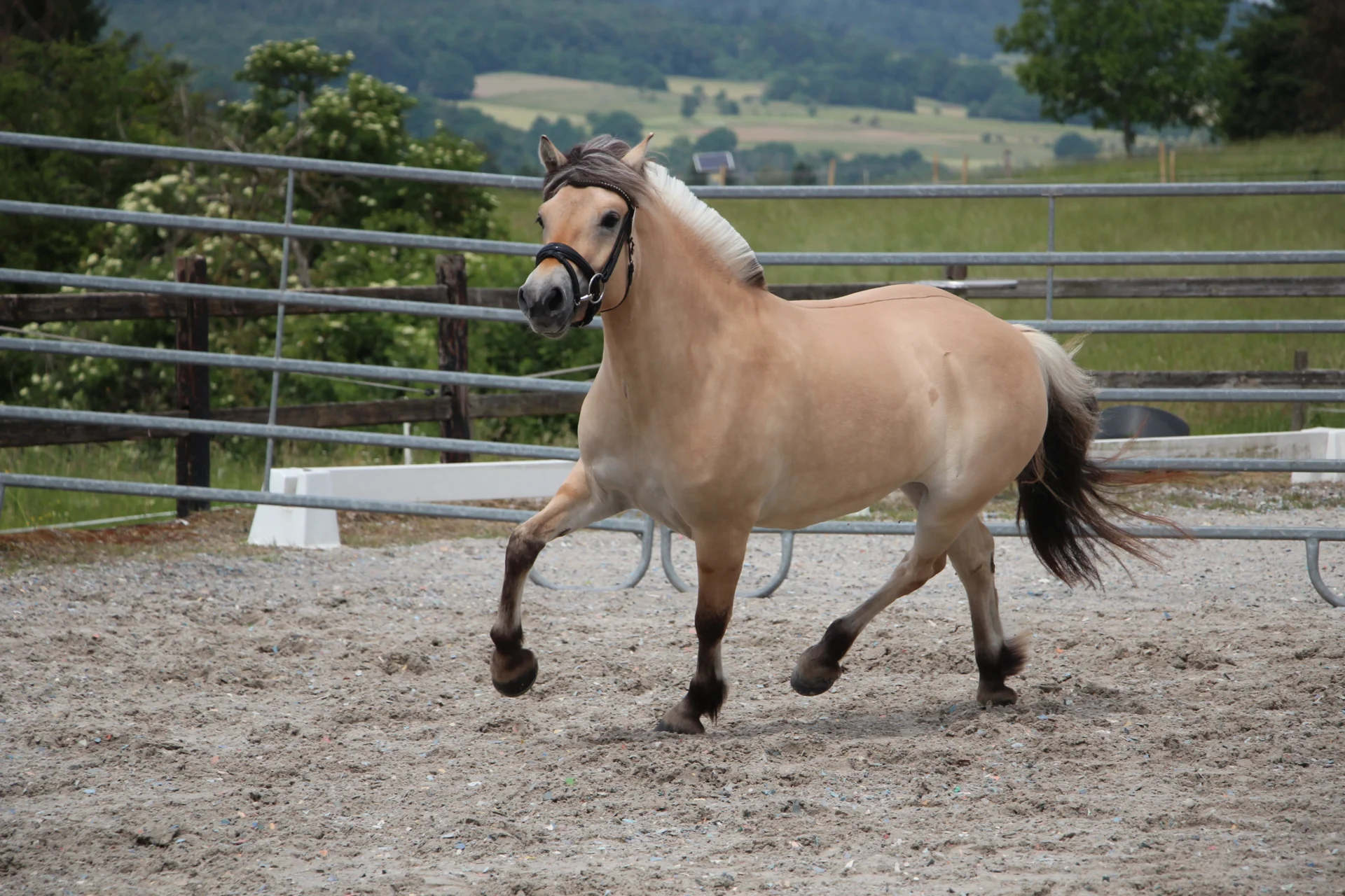 Bild: KNr 12