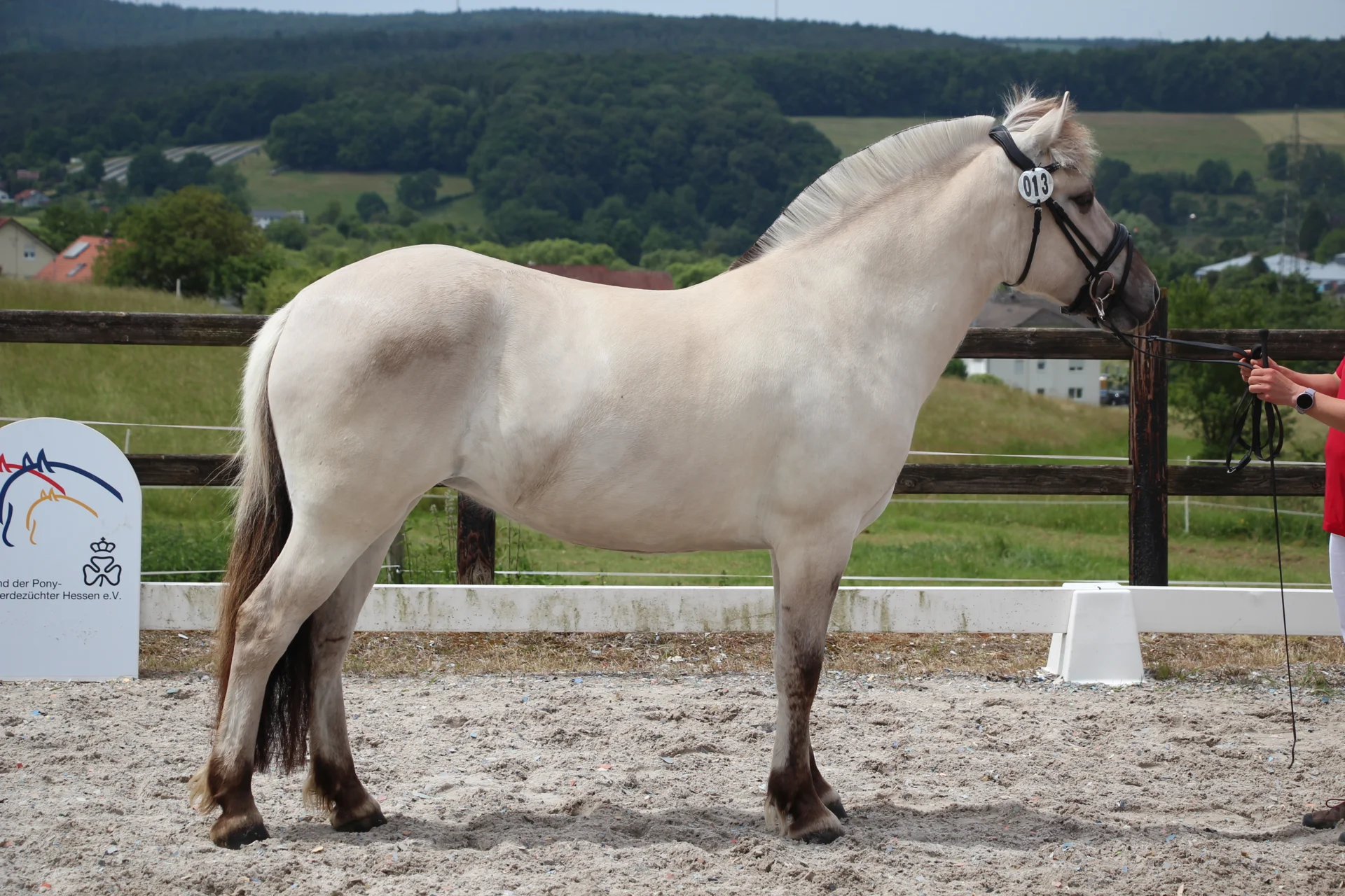 Bild: KNr 13
