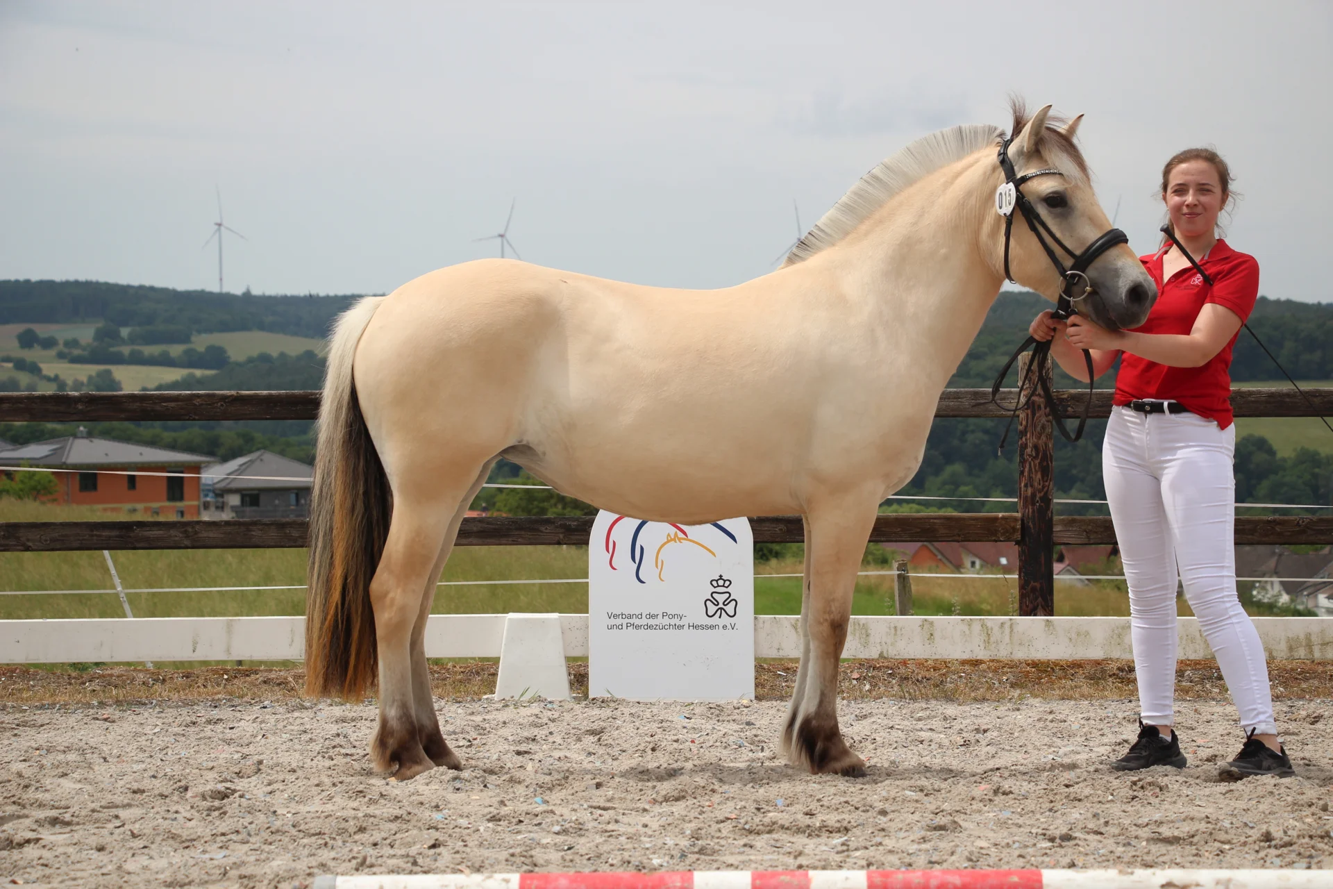 Bild: KNr 15