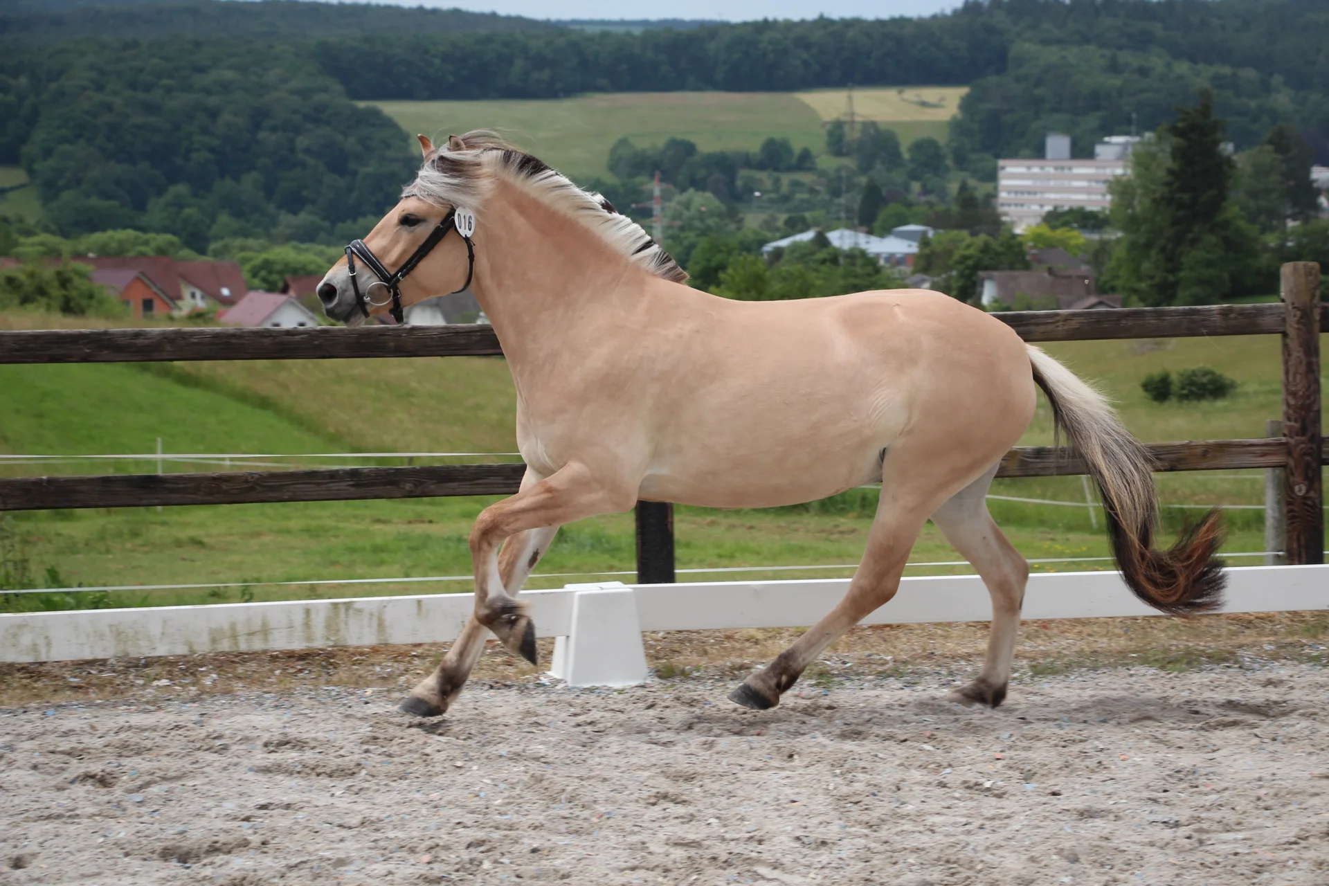 Bild: KNr 16